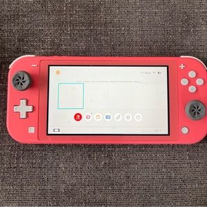 Coral Nintendo Switch, Animal Crossing Game, and case